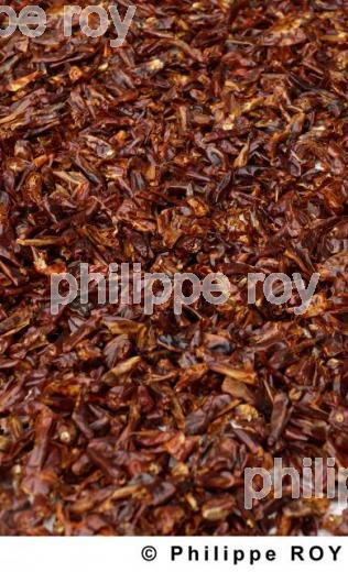 Piments - Birmanie (MM001122.jpg)