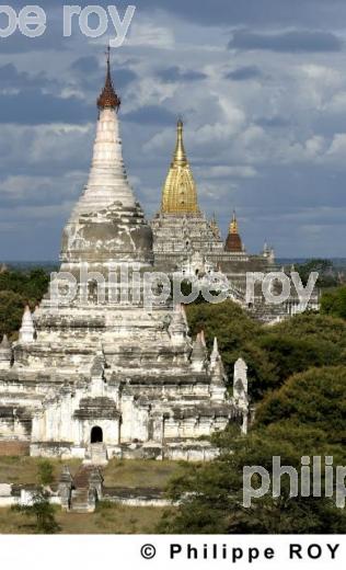 Plaine de Bagan - Birmanie (MM001308.jpg)
