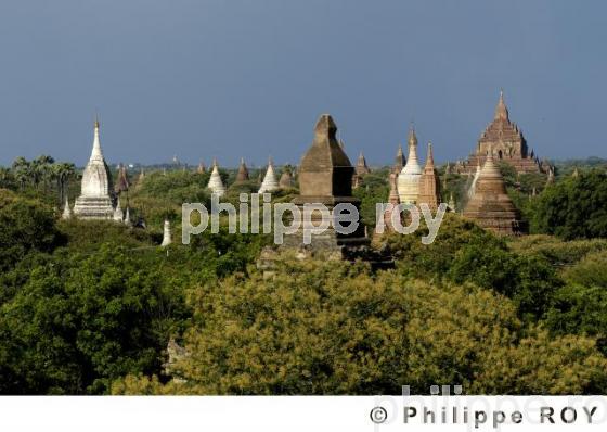 Plaine de Bagan - Birmanie (MM001309.jpg)