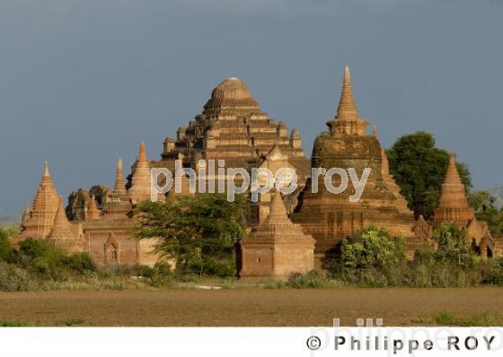 Plaine de Bagan - Birmanie (MM001324.jpg)