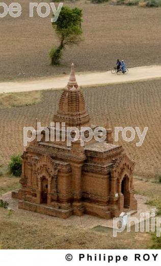Plaine de Bagan - Birmanie (MM001326.jpg)