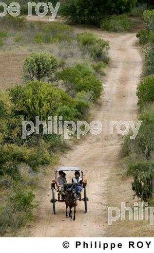 Plaine de Bagan - Birmanie (MM001333.jpg)