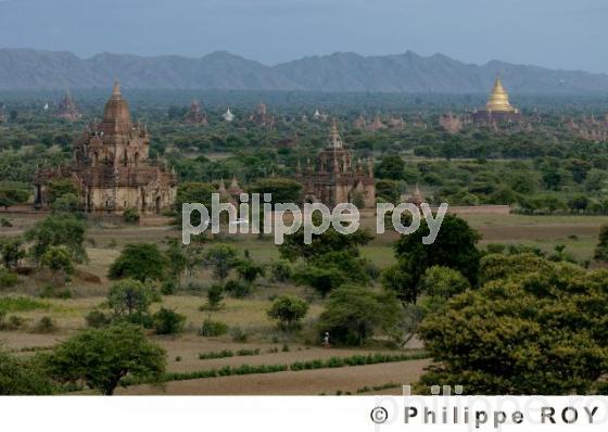 Plaine de Bagan - Birmanie (MM001336.jpg)