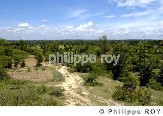 Agriculture - Birmanie (MM001632.jpg)