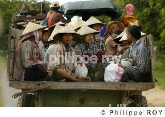 Agriculture - Birmanie (MM001722.jpg)