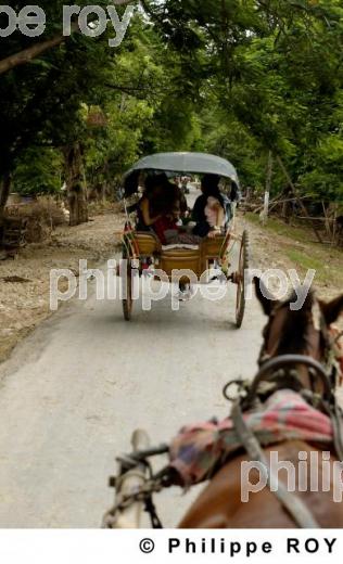 Transport - Birmanie (MM001922.jpg)