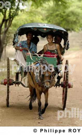 Transport - Birmanie (MM001924.jpg)
