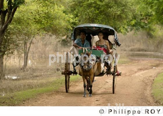 Transport - Birmanie (MM001925.jpg)
