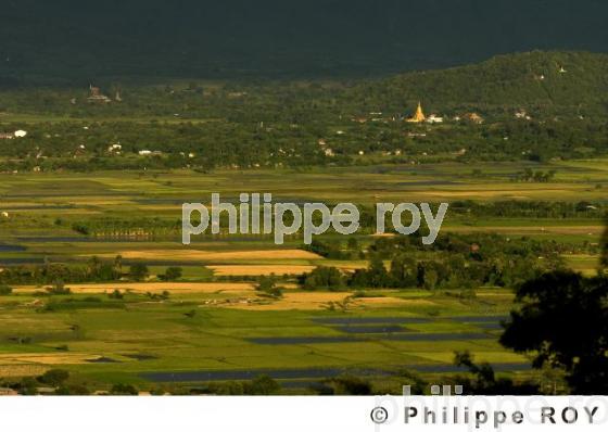 Rizires - Birmanie (MM002123.jpg)
