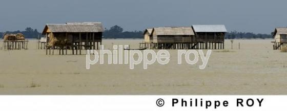 Fleuve Irrawaddy - Birmanie (MM002520.jpg)