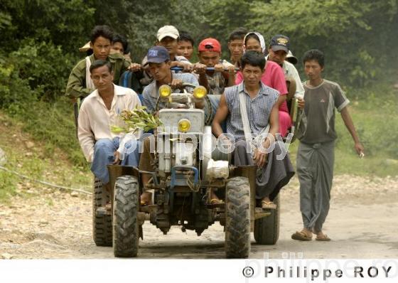 Transport - Birmanie (MM002737.jpg)