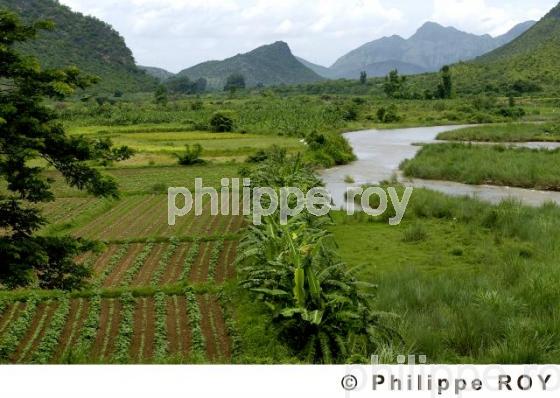 Agriculture - Birmanie (MM002801.jpg)