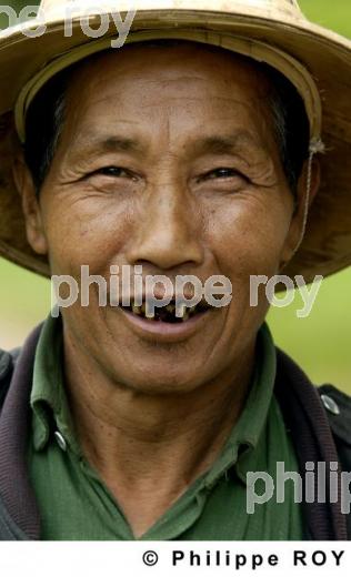 Agriculteur - Birmanie (MM002818.jpg)