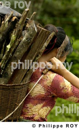 Femme et transport - Birmanie (MM002822.jpg)