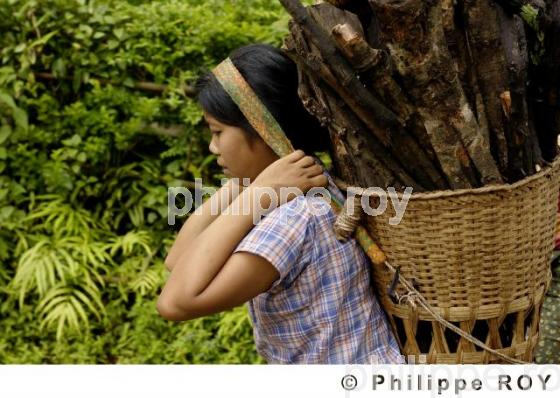 Femme et transport - Birmanie (MM002824.jpg)