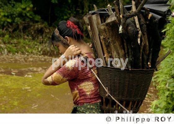 Femme et transport - Birmanie (MM002825.jpg)
