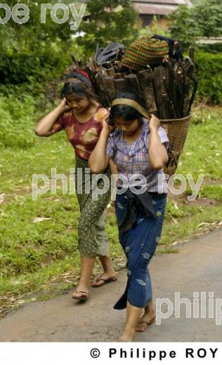 Femme et transport - Birmanie (MM002826.jpg)