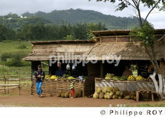 Kalaw - Birmanie (MM002829.jpg)