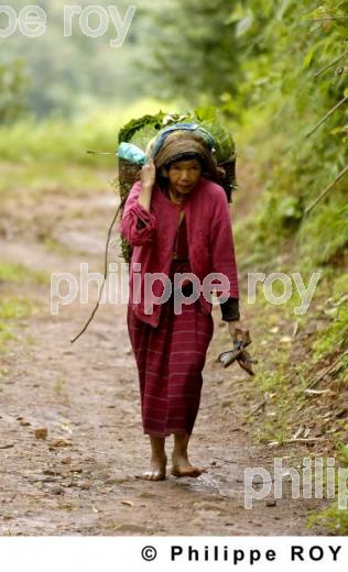Femme et travail - Birmanie (MM003038.jpg)