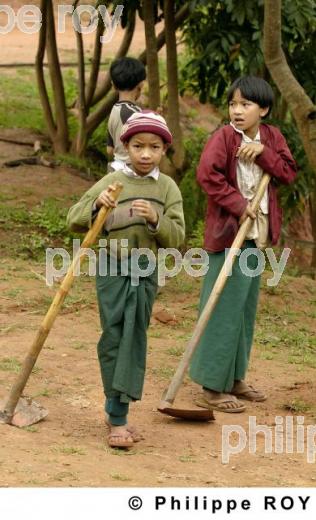 Ecole - Birmanie (MM003127.jpg)