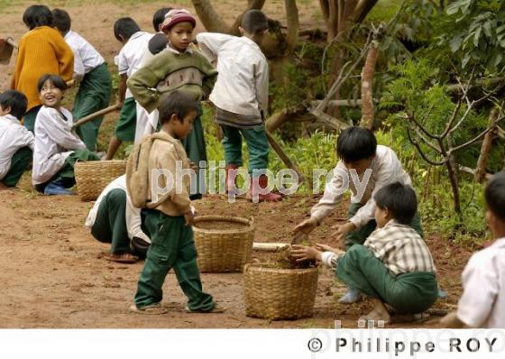 Ecole - Birmanie (MM003128.jpg)