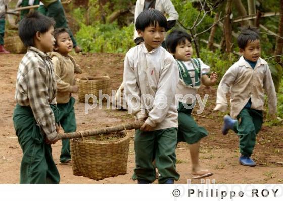 Ecole - Birmanie (MM003130.jpg)