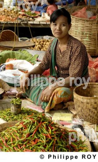 March - Birmanie (MM003711.jpg)