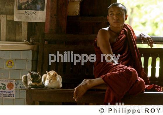 Monastre - Birmanie (MM003912.jpg)