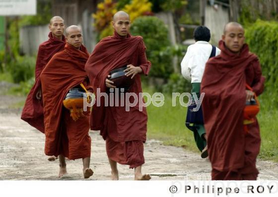 Bonze - Birmanie (MM004018.jpg)