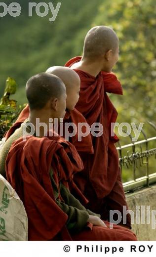 Bonze - Birmanie (MM004433.jpg)