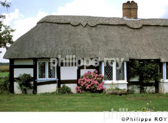 Cottage - Angleterre (UK000105.jpg)