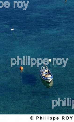 Plage - Montenegro (YU000314.jpg)