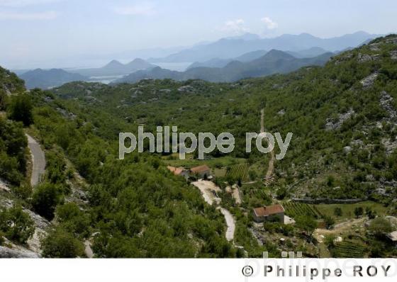 Paysage agricole - Montenegro (YU000604.jpg)
