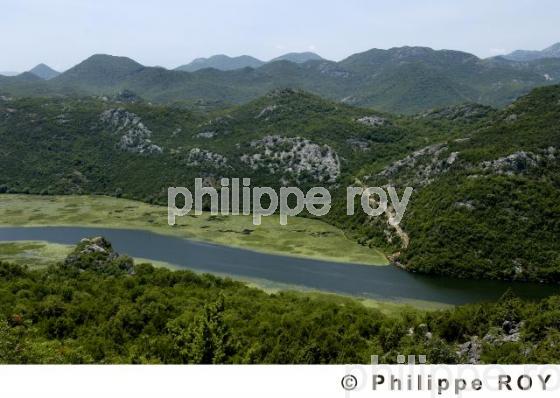 Parc national de Skadarsko Jezero - Montenegro (YU000605.jpg)