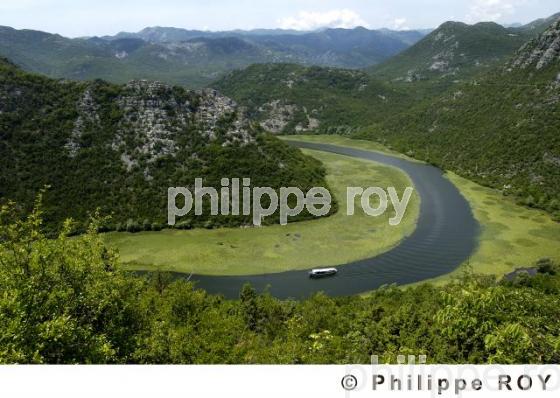 Parc national de Skadarsko Jezero - Montenegro (YU000607.jpg)