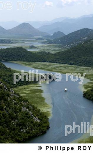 Parc national de Skadarsko Jezero - Montenegro (YU000610.jpg)