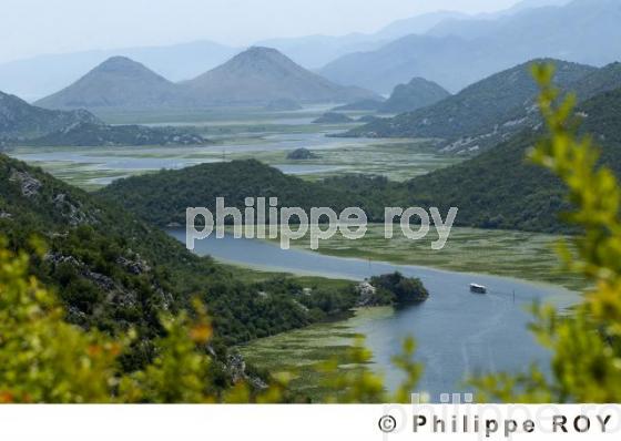 Parc national de Skadarsko Jezero - Montenegro (YU000611.jpg)