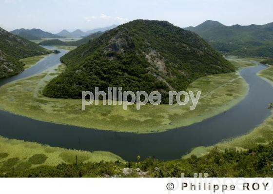 Parc national de Skadarsko Jezero - Montenegro (YU000612.jpg)