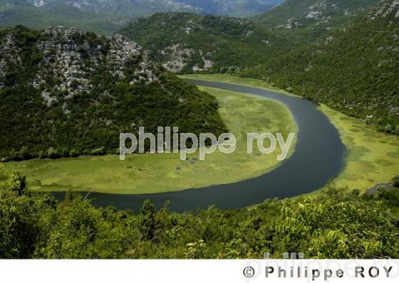 Parc national de Skadarsko Jezero - Montenegro (YU000615.jpg)