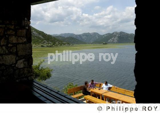 Parc national de Skadarsko Jezero - Montenegro (YU000623.jpg)