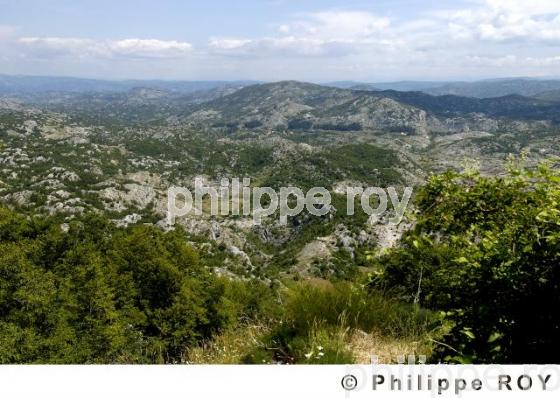 Parc national du Lovcen - Montenegro (YU000708.jpg)