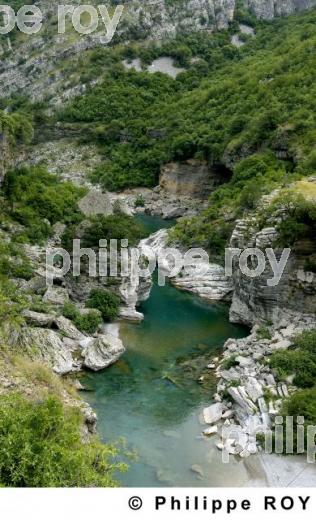Les gorges de Moraca - Montenegro (YU000736.jpg)