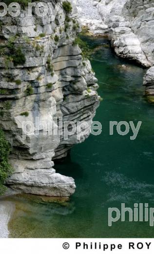 Les gorges de Moraca - Montenegro (YU000737.jpg)