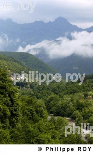 Les gorges de Moraca - Montenegro (YU000740.jpg)