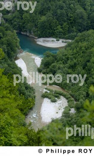 Parc national de Biogradska Gora - Montenegro (YU000811.jpg)