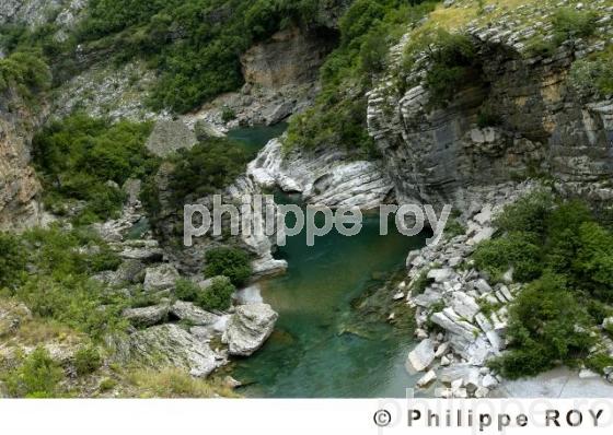 Gorges de Moraca - Montenegro (YU000929.jpg)