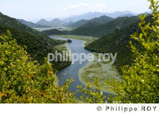 Parc national de Skadarsko Jezero - Montenegro (YU000934.jpg)