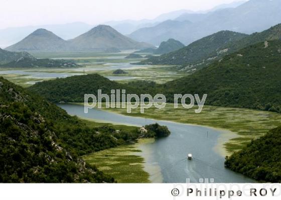 Parc national de Skadarsko Jezero - Montenegro (YU001021.jpg)