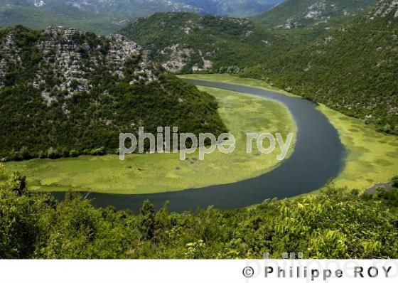 Parc national de Skadarsko Jezero - Montenegro (YU001028.jpg)