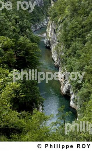 Les gorges de Moraca - Montenegro (YU001036.jpg)